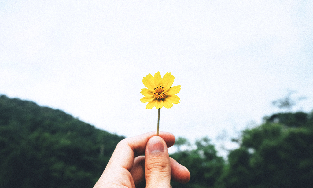 ¿Qué efectos tiene la primavera sobre nuestra piel?